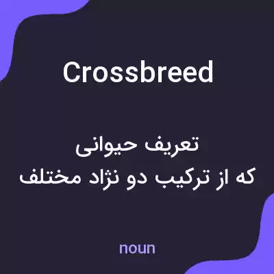 معنی crossbreed به فارسی معنی crossbreed به فارسی
