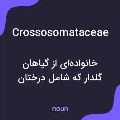 معنی crossosomataceae به فارسی