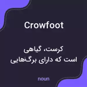 معنی crowfoot به فارسی معنی crowfoot به فارسی
