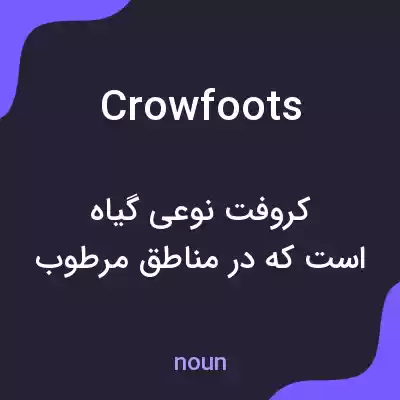 معنی crowfoots به فارسی معنی crowfoots به فارسی