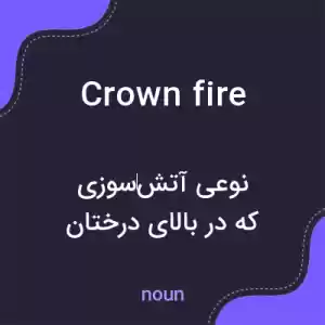 معنی crown fire به فارسی معنی crown fire به فارسی
