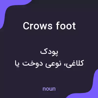 معنی crows foot به فارسی معنی crows foot به فارسی