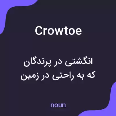 معنی crowtoe به فارسی