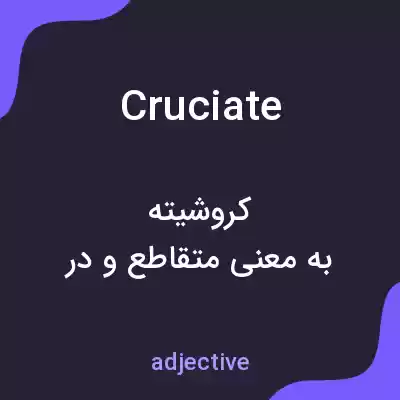 معنی cruciate به فارسی معنی cruciate به فارسی