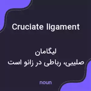 معنی cruciate ligament به فارسی معنی cruciate ligament به فارسی
