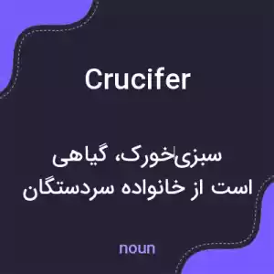 معنی crucifer به فارسی