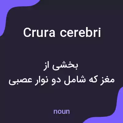 معنی crura cerebri به فارسی معنی crura cerebri به فارسی