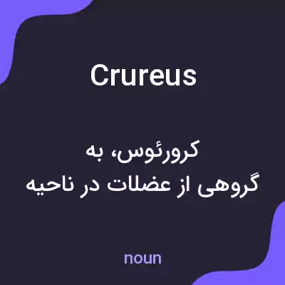 معنی crureus به فارسی