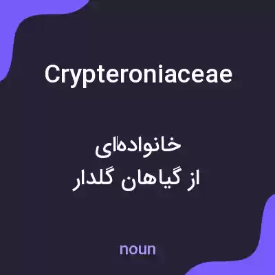 معنی crypteroniaceae به فارسی معنی crypteroniaceae به فارسی