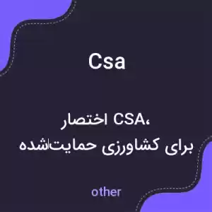 معنی csa به فارسی معنی csa به فارسی