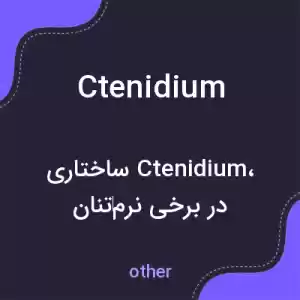 معنی ctenidium به فارسی معنی ctenidium به فارسی