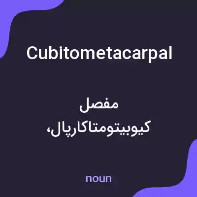 معنی cubitometacarpal به فارسی معنی cubitometacarpal به فارسی