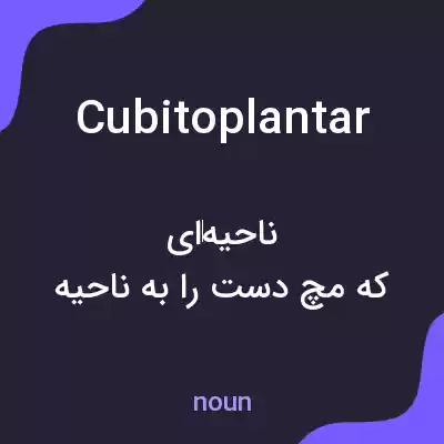 معنی cubitoplantar به فارسی معنی cubitoplantar به فارسی