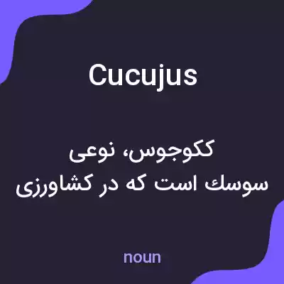 معنی cucujus به فارسی معنی cucujus به فارسی