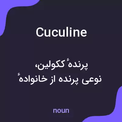 معنی cuculine به فارسی معنی cuculine به فارسی