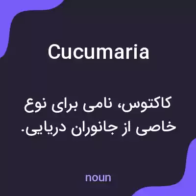 معنی cucumaria به فارسی معنی cucumaria به فارسی