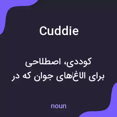 معنی cuddie به فارسی معنی cuddie به فارسی