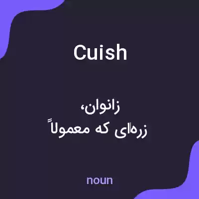 معنی cuish به فارسی معنی cuish به فارسی