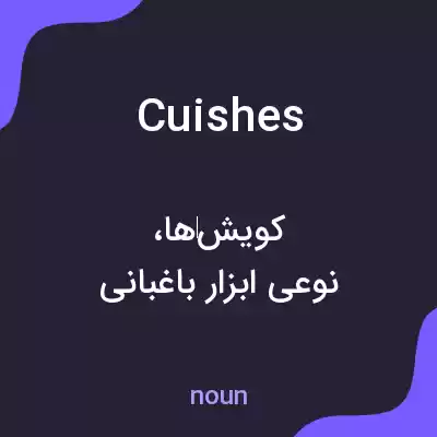 معنی cuishes به فارسی معنی cuishes به فارسی