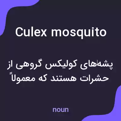 معنی culex mosquito به فارسی معنی culex mosquito به فارسی