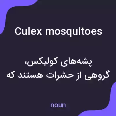 معنی culex mosquitoes به فارسی