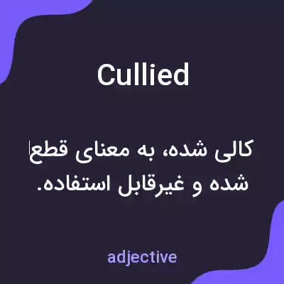 معنی cullied به فارسی معنی cullied به فارسی
