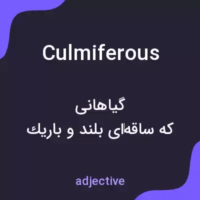 معنی culmiferous به فارسی معنی culmiferous به فارسی