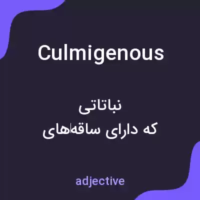 معنی culmigenous به فارسی معنی culmigenous به فارسی