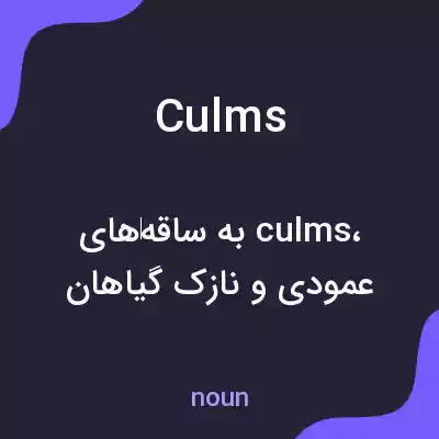 معنی culms به فارسی معنی culms به فارسی