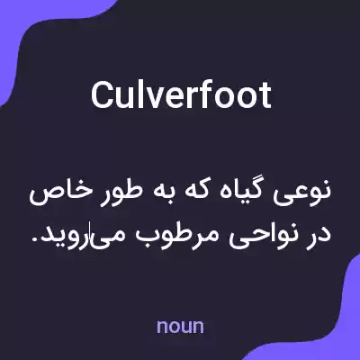 معنی culverfoot به فارسی معنی culverfoot به فارسی