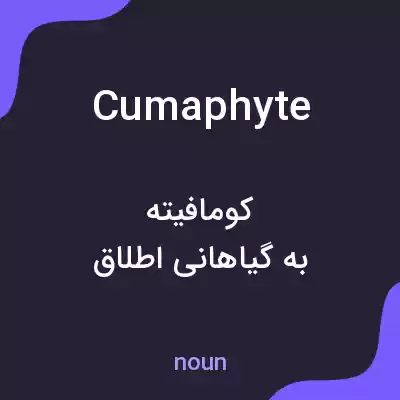 معنی cumaphyte به فارسی معنی cumaphyte به فارسی