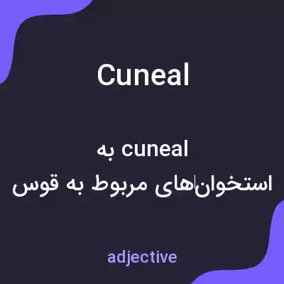 معنی cuneal به فارسی معنی cuneal به فارسی