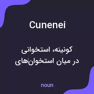 معنی cunenei به فارسی معنی cunenei به فارسی