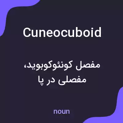 معنی cuneocuboid به فارسی معنی cuneocuboid به فارسی