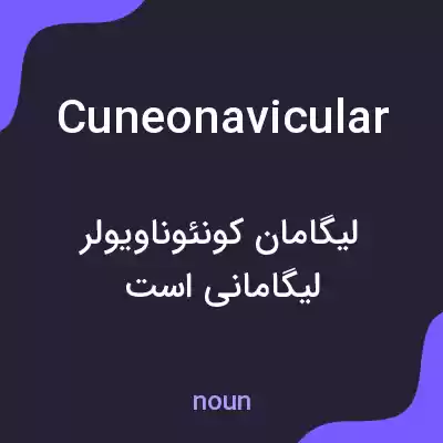 معنی cuneonavicular به فارسی معنی cuneonavicular به فارسی