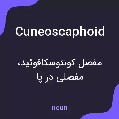 معنی cuneoscaphoid به فارسی معنی cuneoscaphoid به فارسی