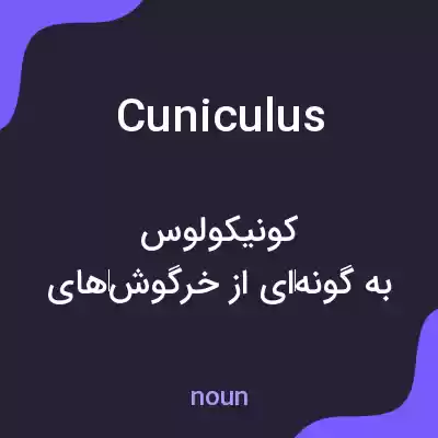 معنی cuniculus به فارسی