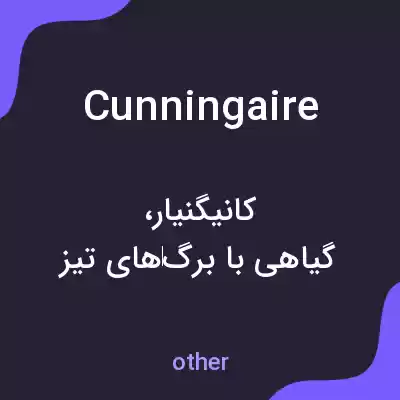 معنی cunningaire به فارسی معنی cunningaire به فارسی