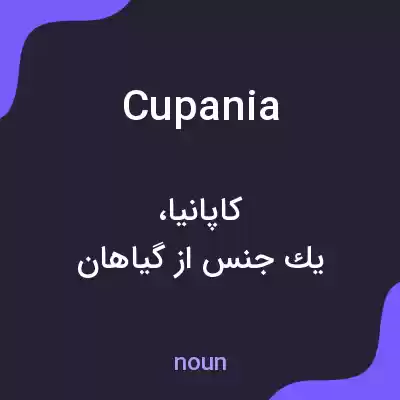 معنی cupania به فارسی معنی cupania به فارسی