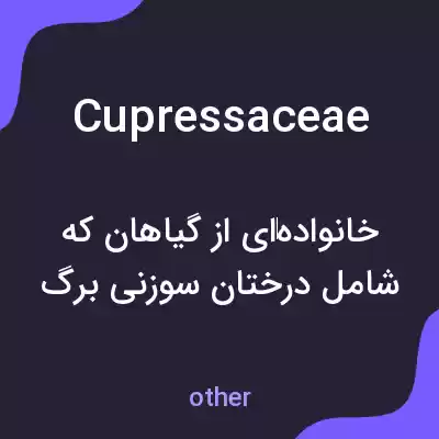 معنی cupressaceae به فارسی معنی cupressaceae به فارسی