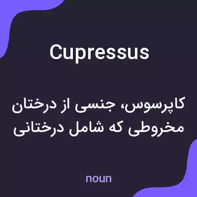 معنی cupressus به فارسی معنی cupressus به فارسی