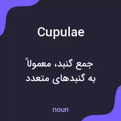 معنی cupulae به فارسی معنی cupulae به فارسی