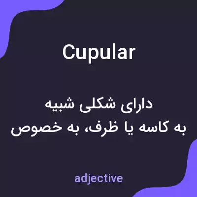 معنی cupular به فارسی معنی cupular به فارسی