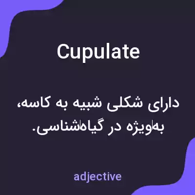 معنی cupulate به فارسی معنی cupulate به فارسی