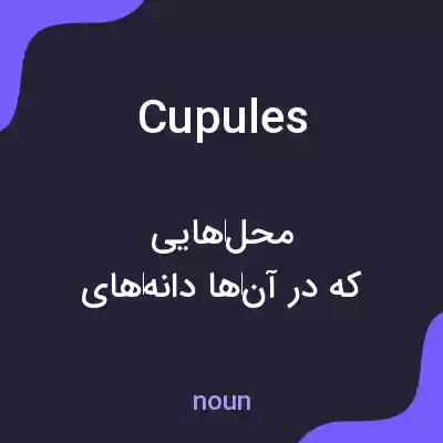 معنی cupules به فارسی معنی cupules به فارسی