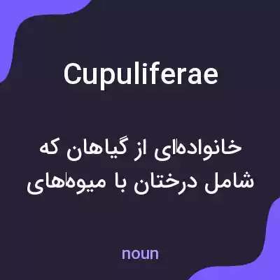 معنی cupuliferae به فارسی معنی cupuliferae به فارسی
