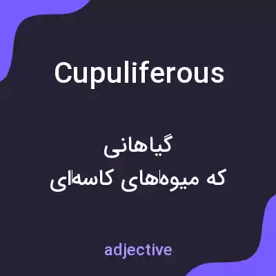 معنی cupuliferous به فارسی معنی cupuliferous به فارسی