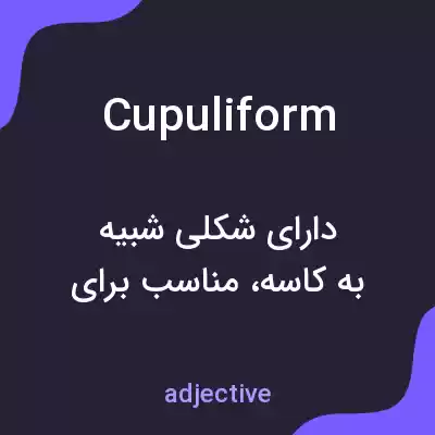 معنی cupuliform به فارسی معنی cupuliform به فارسی