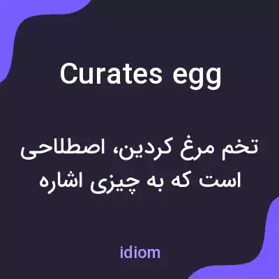 معنی curates egg به فارسی