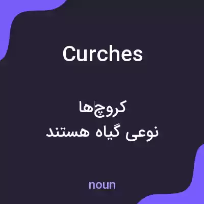 معنی curches به فارسی معنی curches به فارسی
